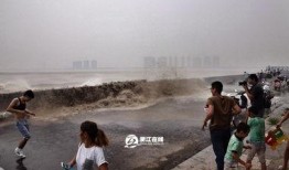 惊涛在线观看,在线观看，揭秘海上冒险传奇