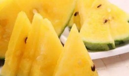 在哪吃网红瓜好吃呢图片,网红瓜的绝妙食府推荐