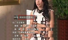 肉姐在沙特爆料视频大全,肉姐爆料视频大全深度解析