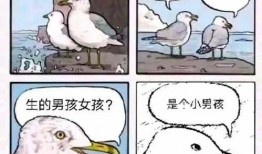 八零嫁大佬后的吃瓜日常免费阅读,嫁大佬后的甜蜜生活揭秘