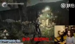 南昌黑虎爆料事件始末视频,真相与争议的漩涡