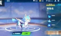 QQ飞车手游宠物返场最新爆料,全新萌宠即将回归！