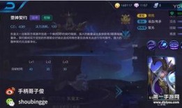 王者最新爆料哥是谁,王者最新爆料，神秘“爆料哥”身份揭晓！