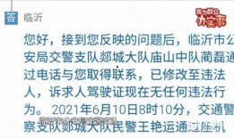 山东实事爆料新闻最新消息,重大事件引发社会关注