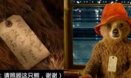 帕丁顿熊1在线观看,在线观看开启欢乐时光