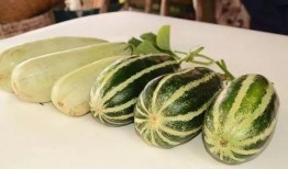 网红吃的生瓜叫什么,揭秘神秘“网红瓜”之谜