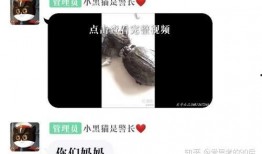 爆料踩踏动物视频播放网站,揭秘踩踏动物视频播放网站的黑暗面