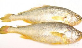 小黄鱼爆料新闻报道内容,揭秘新闻报道背后的真相