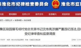 顶端新闻爆料邮箱地址,揭秘媒体内部信息传递的秘密通道