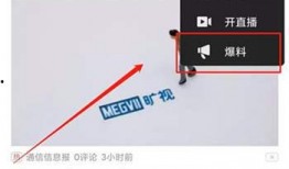 搜索爆料视频赚钱,如何通过爆料视频轻松赚钱